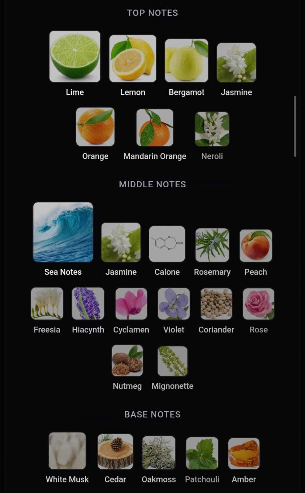 Inspired Acqua di Gio Profumo