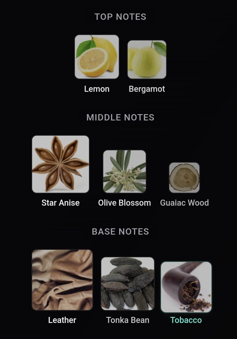 Inspired Armani Code