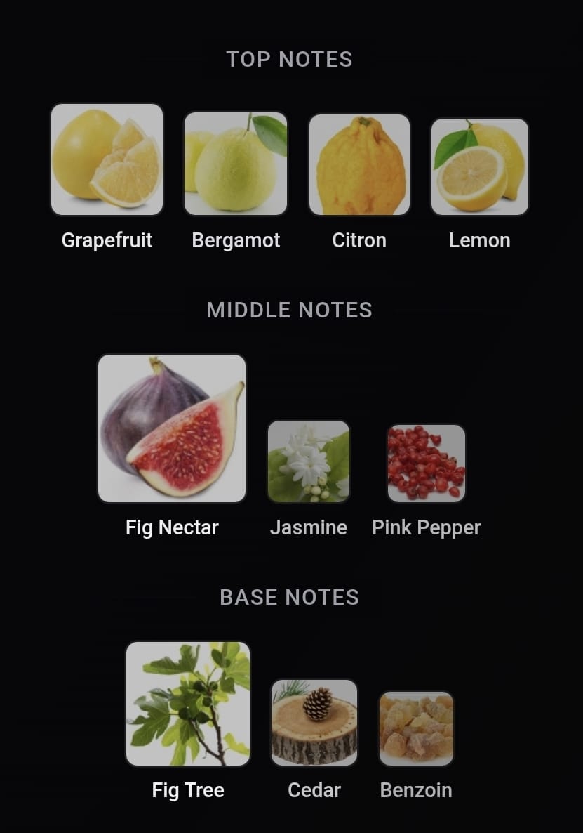 Inspired Blu Mediterraneo - Fico di Amalfi