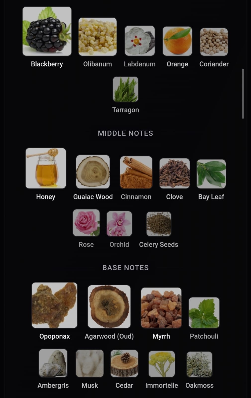 Inspired Jubilation XXV