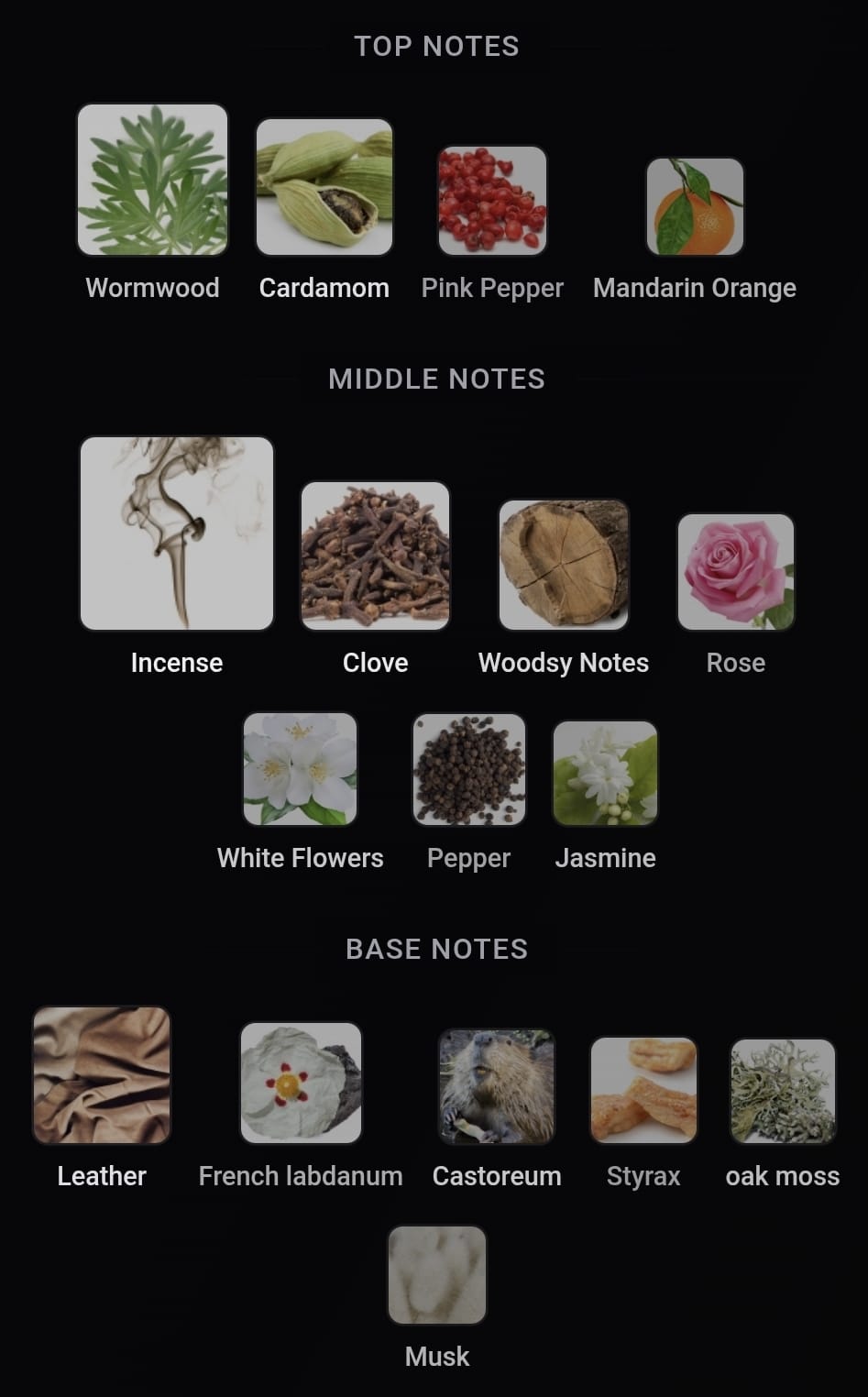 Inspired Memoir Women