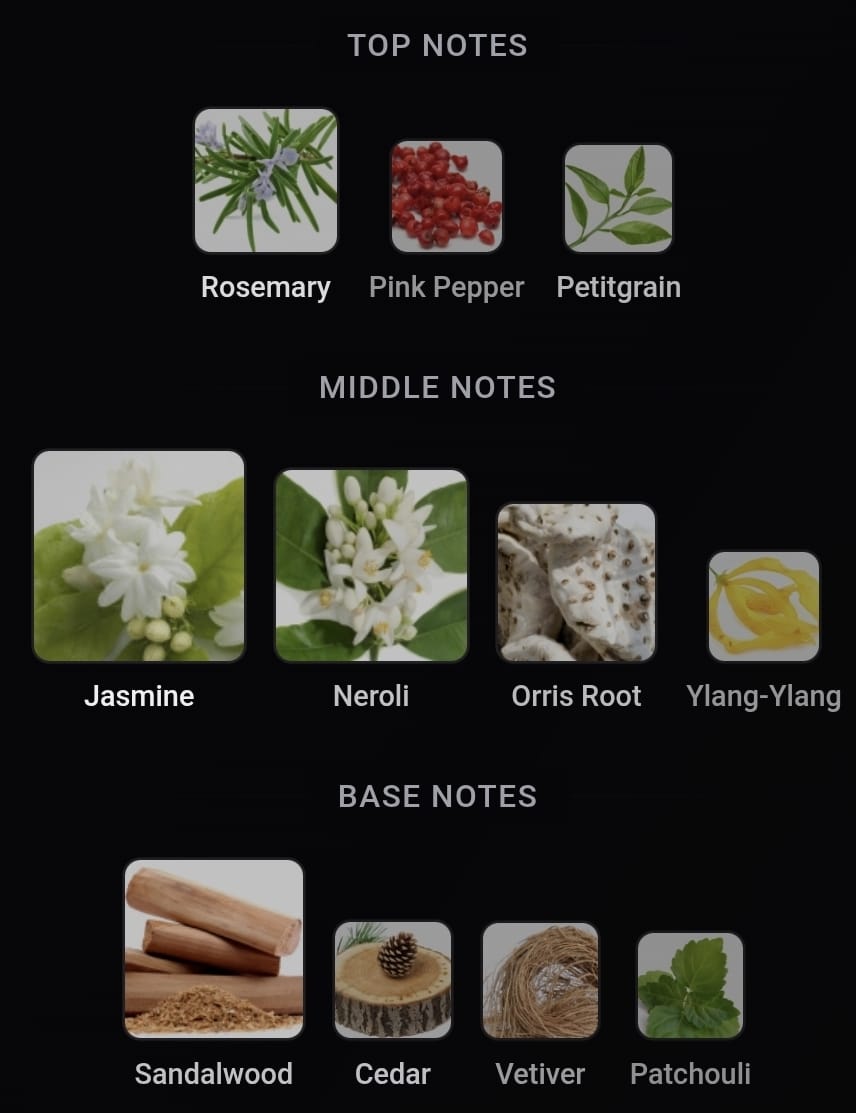 Inspired Reflection Man