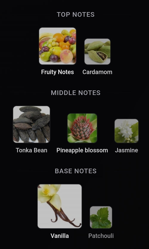 Golden Amber Noir Inspired By Madawi Gold Edition