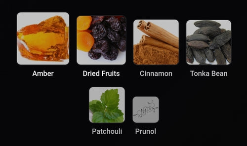 Inspired Ambre Eccentrico